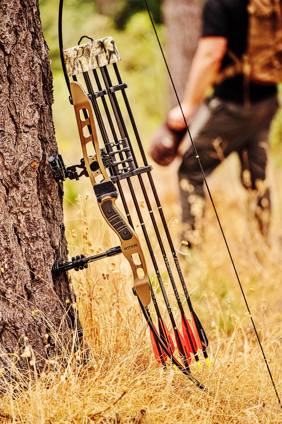 Choosing a Traditional Bow vs a Compound Bow for Survival - What you should know