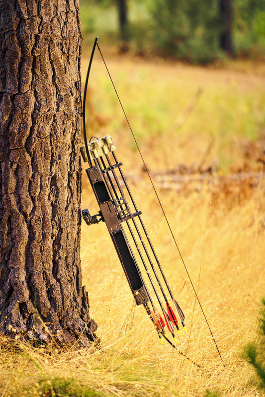 Who should consider owning a folding survival bow?